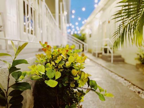 Apartamento The West Gem
