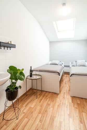 Apartamento Penzion Vina?stv� W18