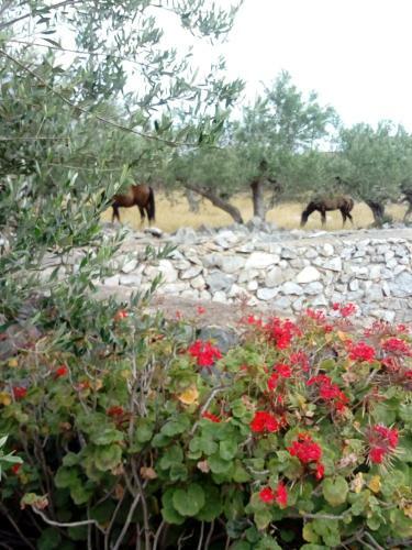 Apartamento Charouda Stone Tower