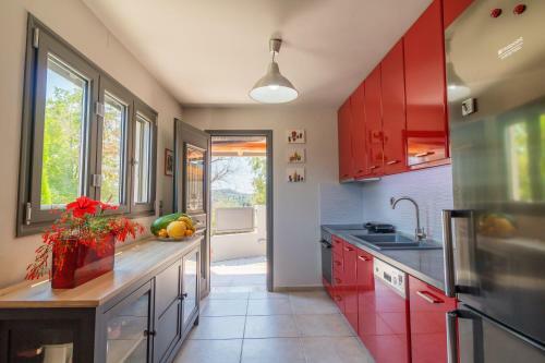 Agathis Home