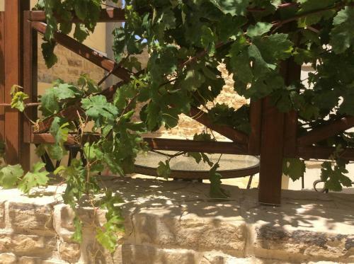 Agroturismo Kritikies Elaia