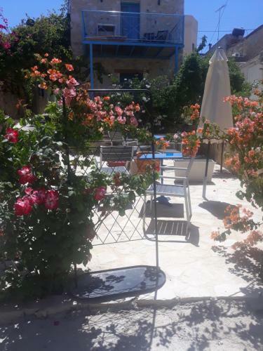 Agroturismo Kritikies Elaia