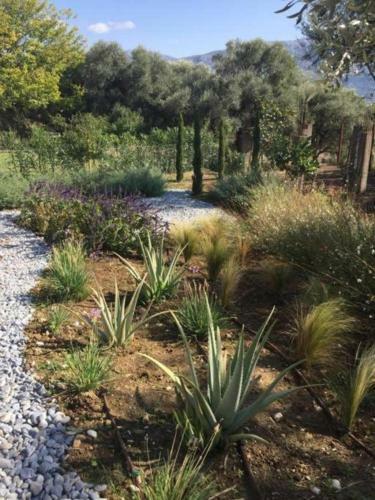 Villa Mytikas Detached 3 Bed Villa Private Pool And Jacuzzi