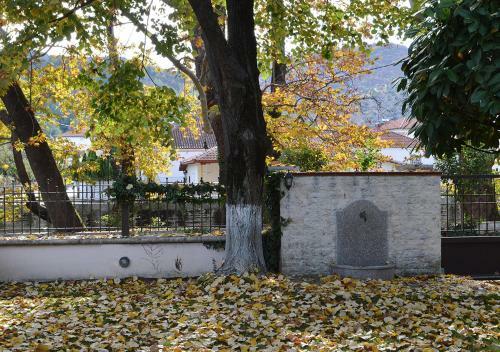 "the Plane Trees"