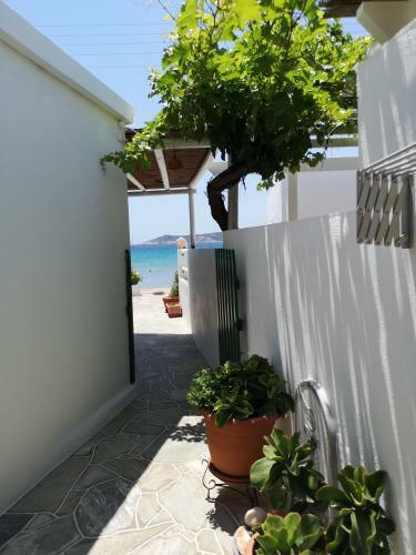 Lemonia Rooms