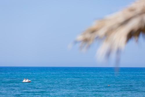 Hotel Corali Beach