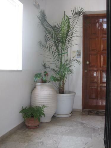 Hostal Marina Studios I