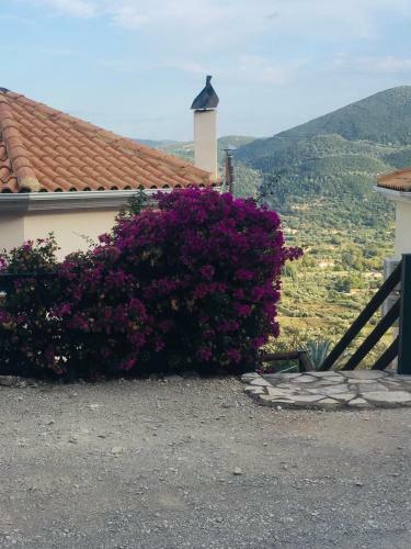 Villa Luna