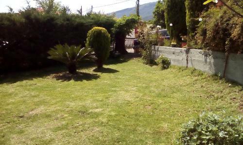 Dimitris House