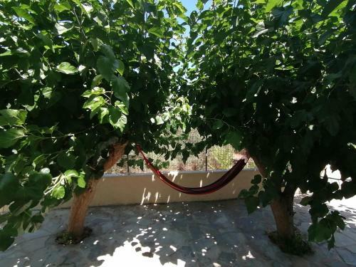Giannikos Cozy House