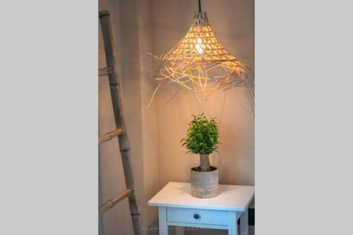 Orange Tree