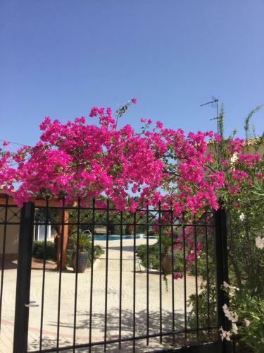 Villa Phoenix, Porto Heli