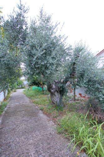 Villa Kostas