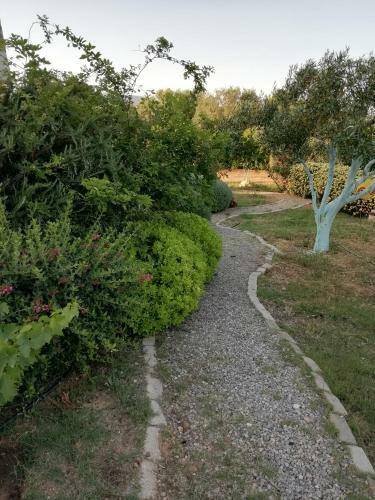 Hostal Dimitra