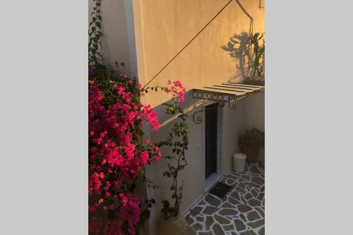 180� View Maisonette No.1