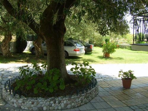 Hostal Eleonas Apartments