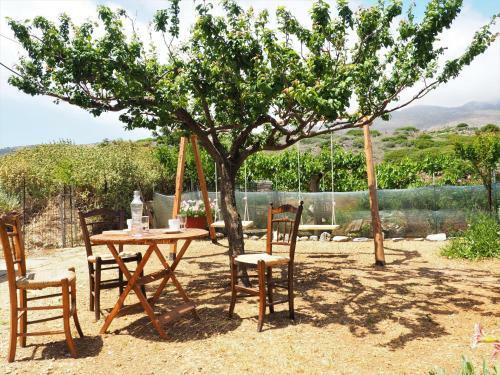 Traditional Cretan Villa
