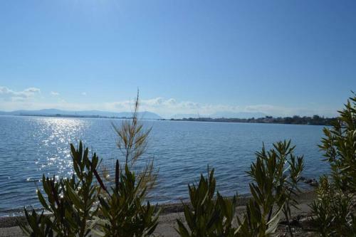 Harmony Seafront Apartment