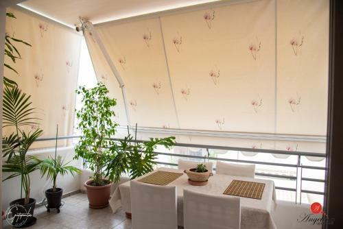 Angelina Apartment