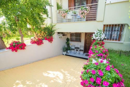 Apartamento Palmeira Studio