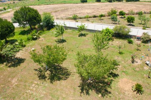 Olives Estate Apartments Grande