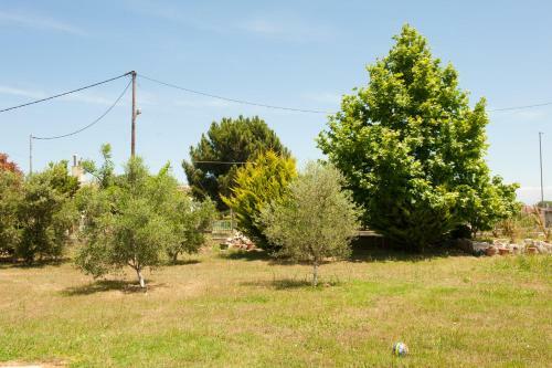 Olives Estate Apartments Grande