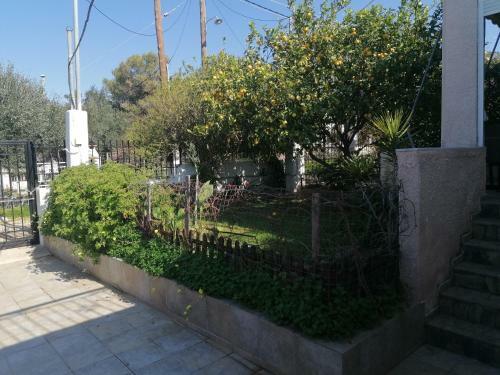 Villa Welcome In Salamina