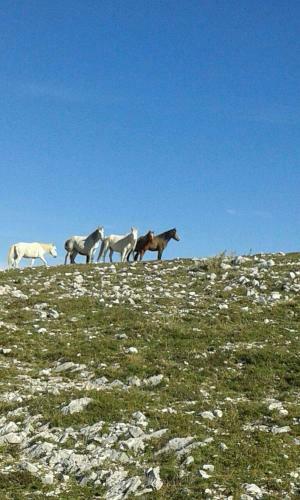 Hostal Xenonas Souliou