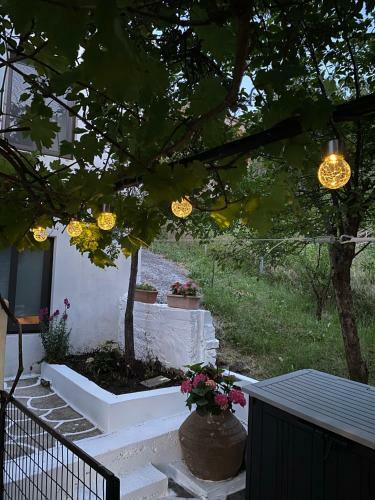 Apartamento Sevastie?s Home