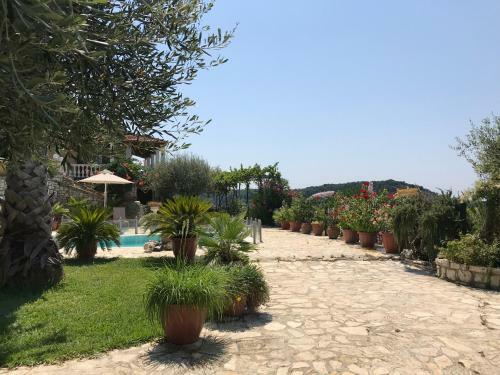 Villa Silver Olives