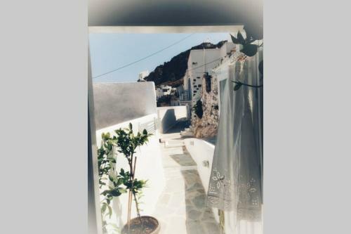 The Mermaid - Serifos