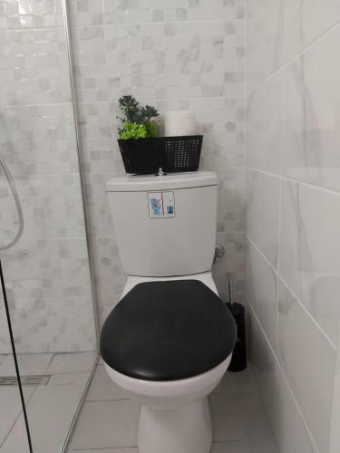 Lux Apartment Downtown