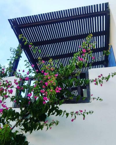 Apartamento Chora Place