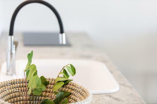 Carob Villas, An Eco-friendly Hideaway