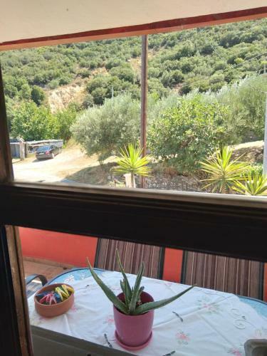 Maisonette Maria-for Tranquility-sikia Chalkidiki