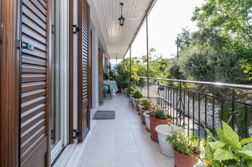 La Olga Apartment Lefkada