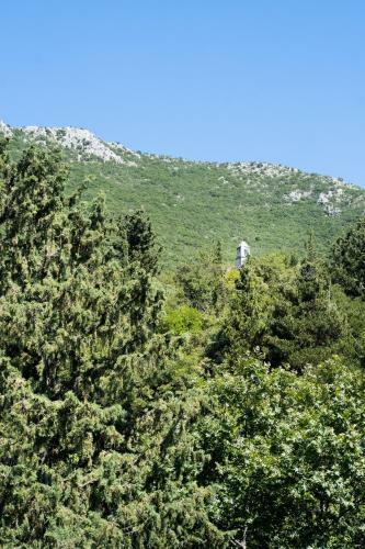 La Olga Apartment Lefkada