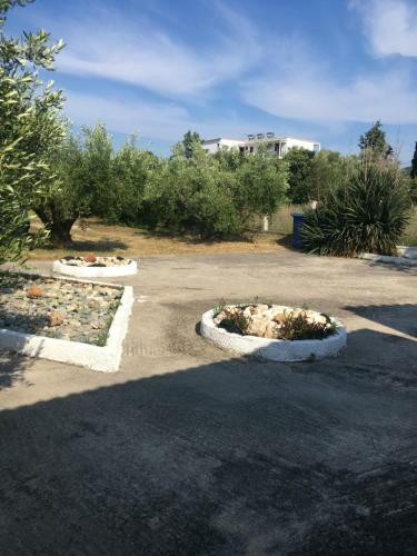 Andronikis House
