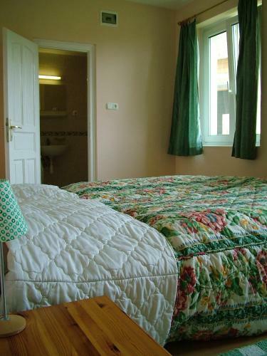 Hostal Zoldhaz Bio Panzio