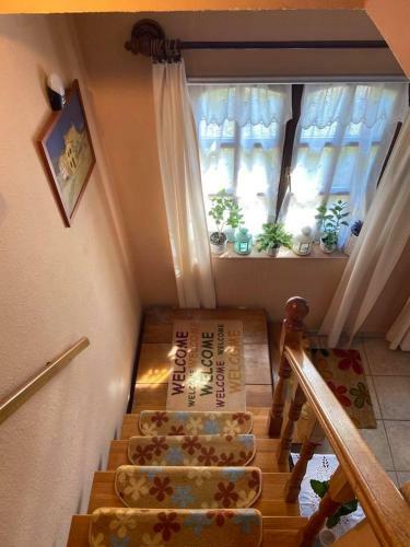 Apartamento Fodor H�z