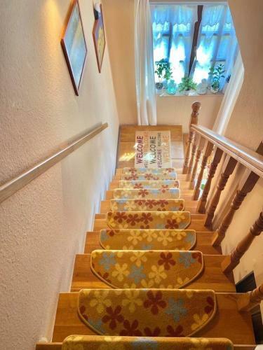 Apartamento Fodor H�z