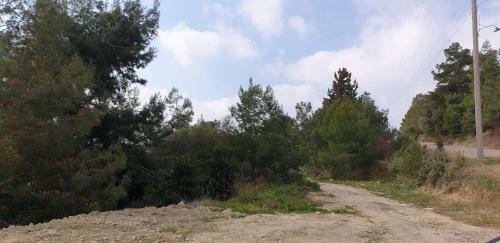 Villa Betina
