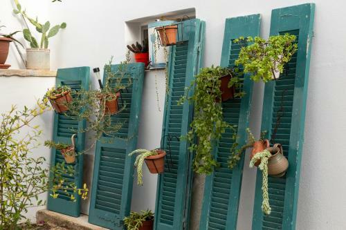 Iliopetra Studio