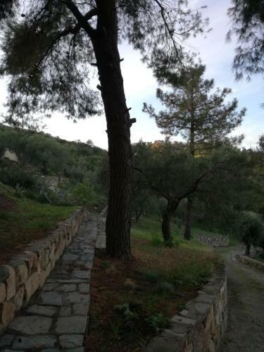 Villa Haris