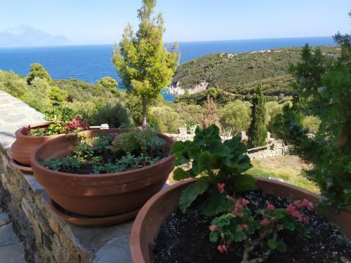 Villa Athos