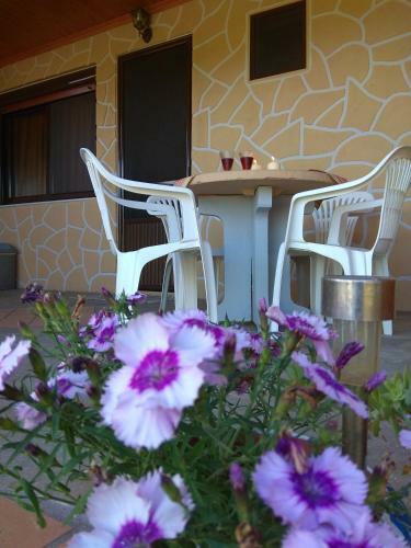 Apartamento Farma Giannis