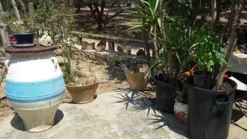 Agroturismo Sitia Vrisidi Ranch