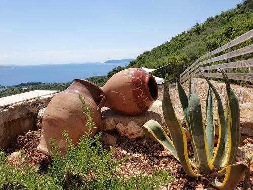 Villa Albatross