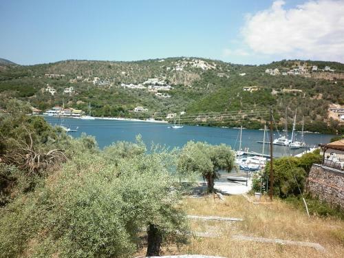 Apartamento ???????????? - Bougainvillea