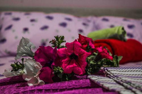 Apartamento Villa Rona